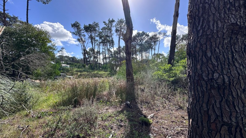 Lote en venta en La Reserva de Montoya